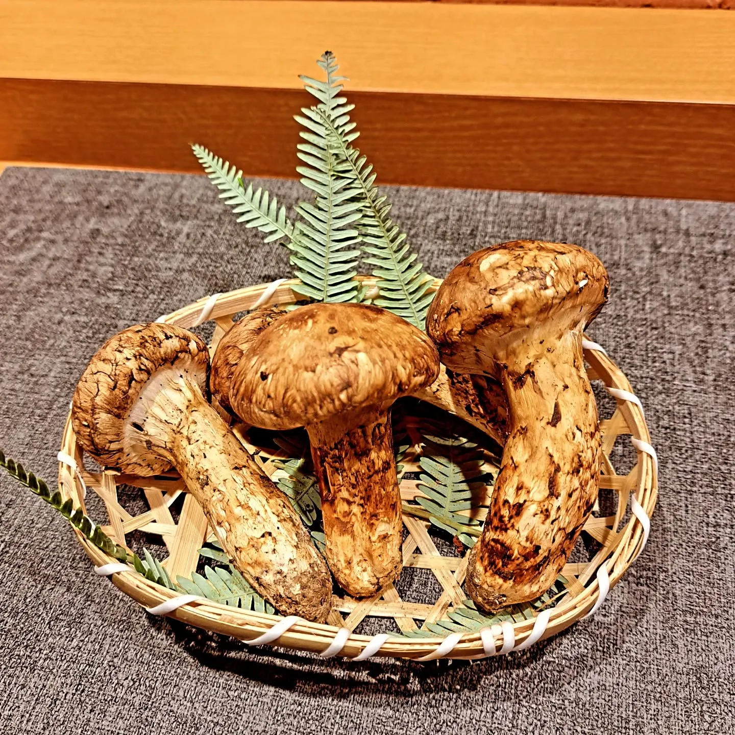 松茸始まります。